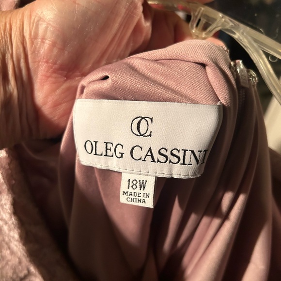 Pink Asymmetrical Ruched Gown With Lace Bodice - Picture 5 of 6